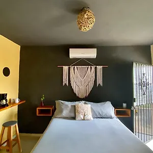 https://jungla-bacalar-casa-jaguar.quintano-roohotels.com